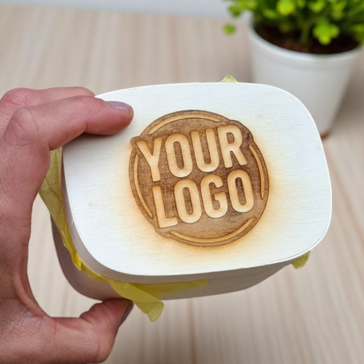 Holzkästchen mit gelasertem Logo wird von einer Hand gehalten, im Hintergrund eine Pflanze auf hellem Holztisch
